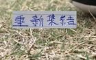 申花重新集结！足协杯+第16轮面对马莱莱 能迎来全胜战绩吗